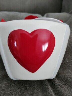Rae Dunn Heart Measuring Cup Set